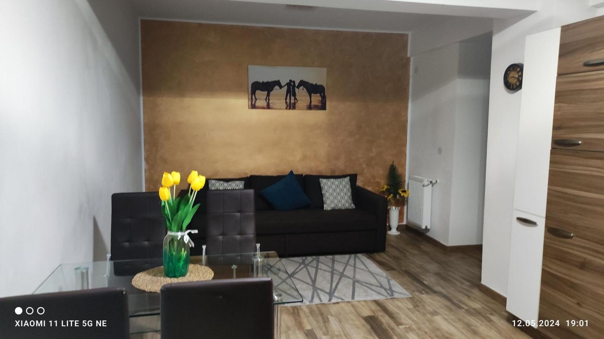 Apartament Lenus'K Apartment Bucharest Exterior photo